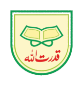 Qudrat Ullah Company